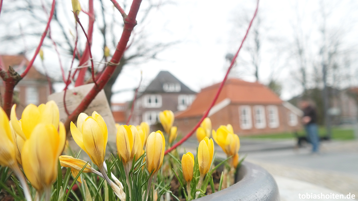 Aurich Fotowalk Tobias Hoiten