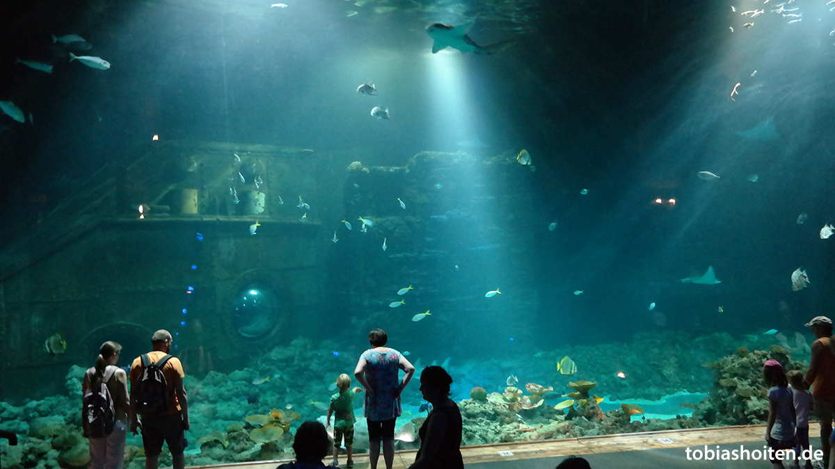 Tierpark Hagenbeck Tropenaquarium Tobias Hoiten