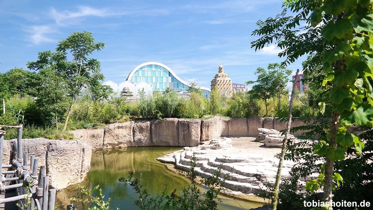 Wildlands Adventure Zoo Emmen Tobias Hoiten