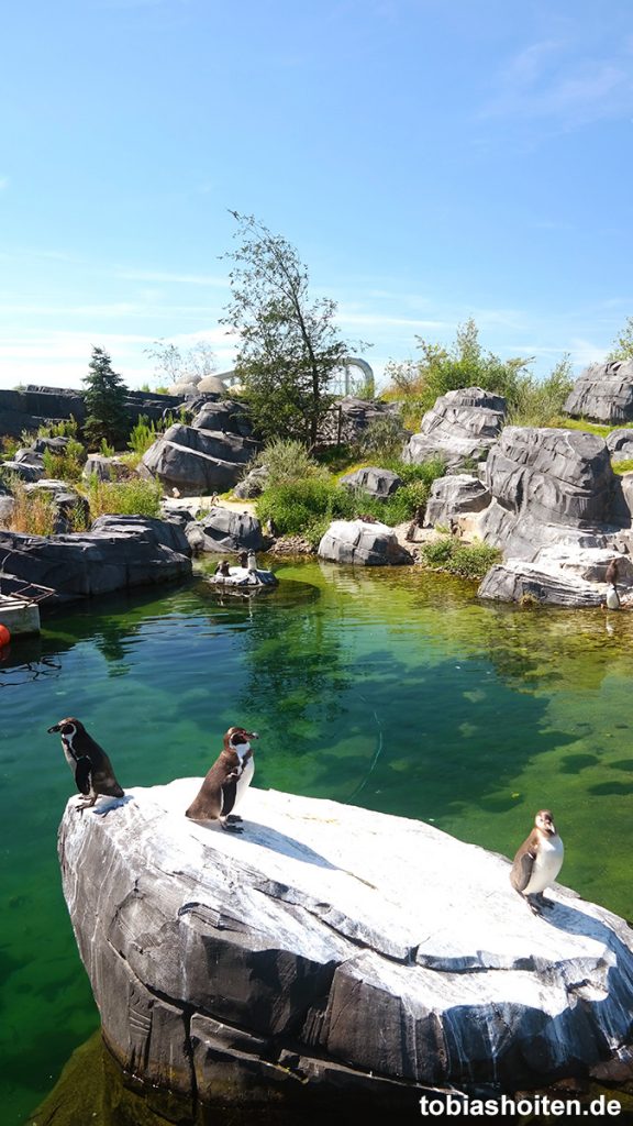 Wildlands Adventure Zoo Emmen Tobias Hoiten