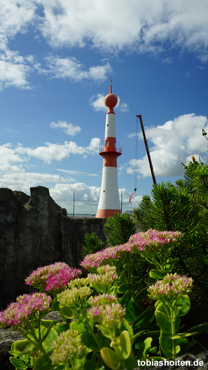 bremerhaven-zoo-am-meer-tobias-hoiten