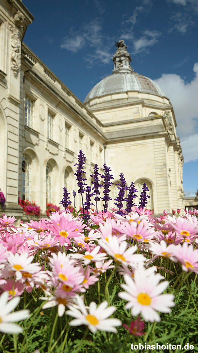 cardiff-wales-tobias-hoiten-8