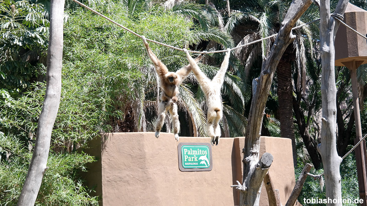 Gran Canaria Palmitos Park Tobias Hoiten