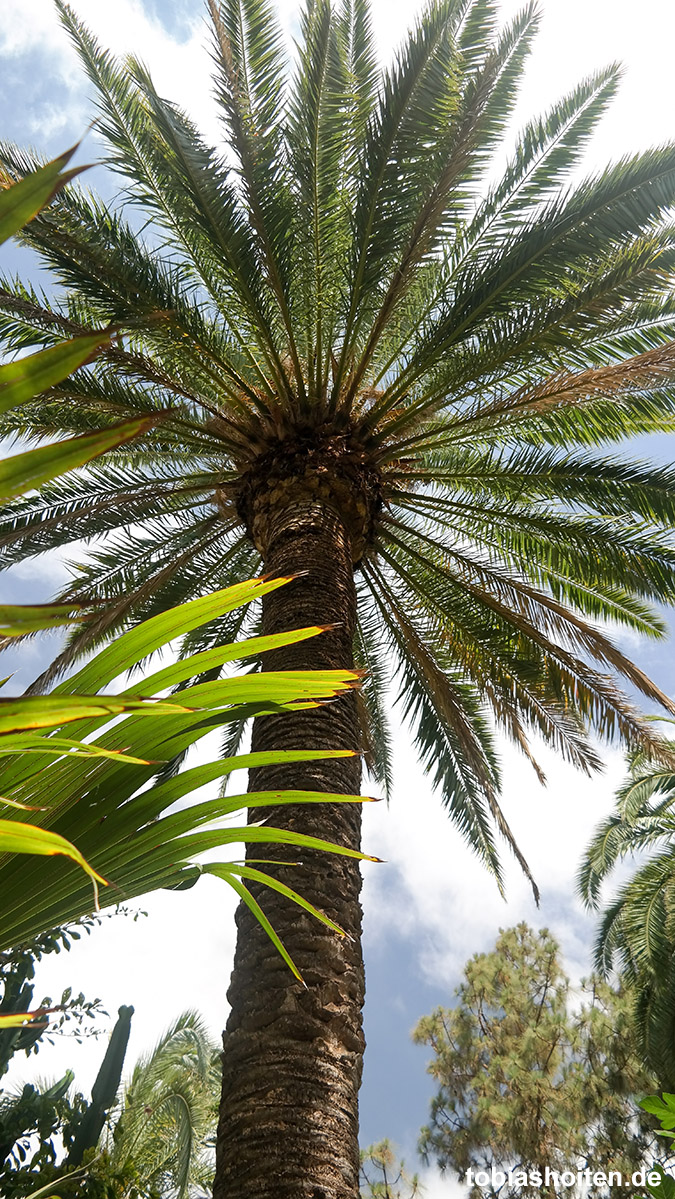 Palmitos Park Gran Canaria Tobias Hoiten