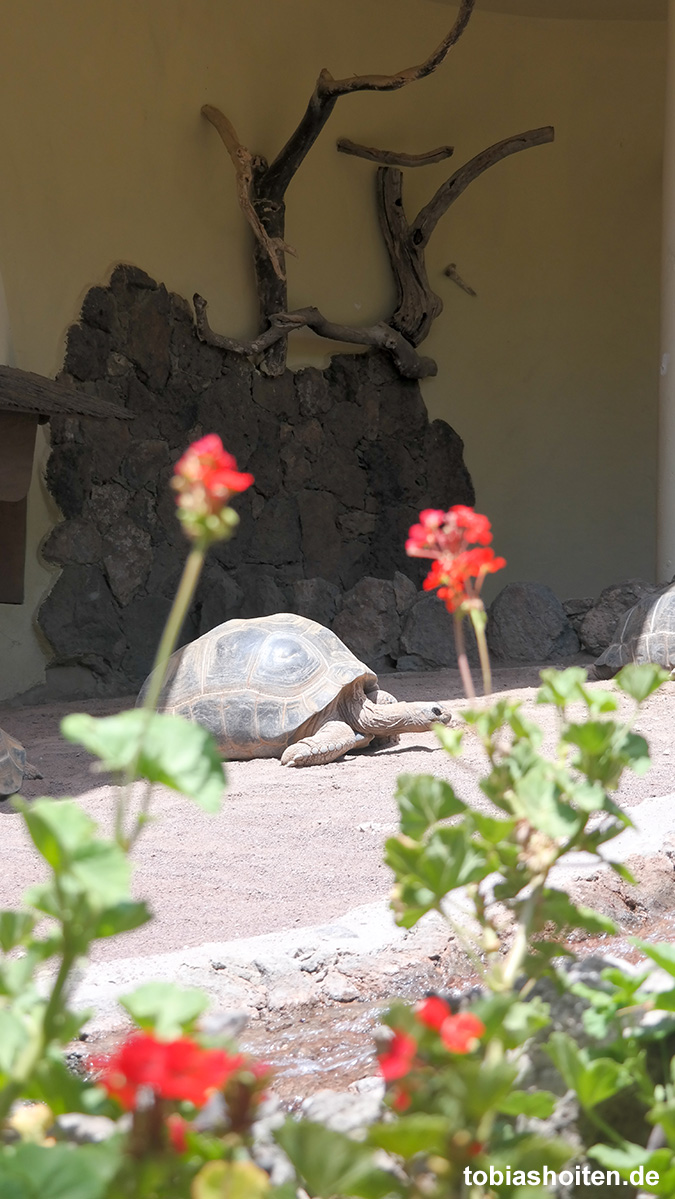 Palmitos Park Gran Canaria