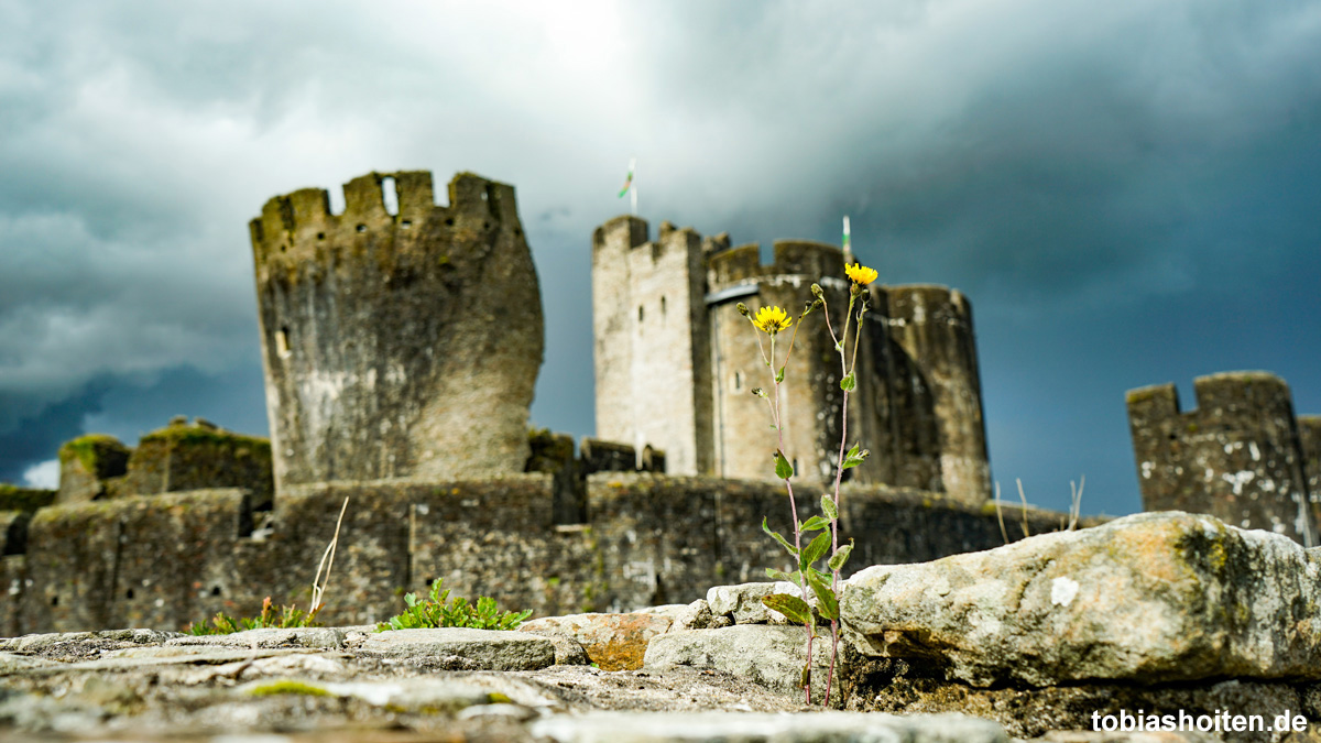 wales-caerphilly-castle-tobias-hoiten-3