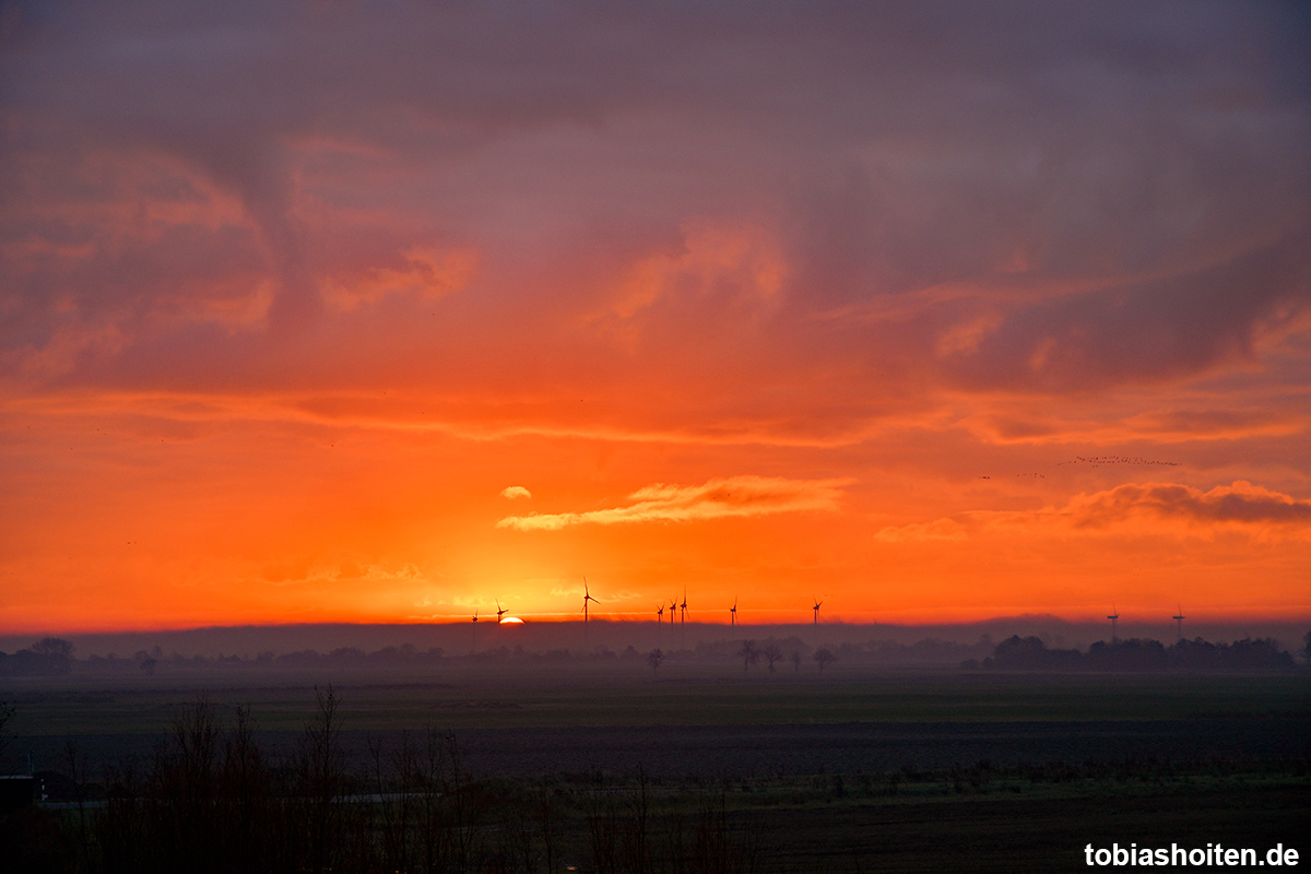 neuharlingersiel-sonnenaufgang-tobias-hoiten