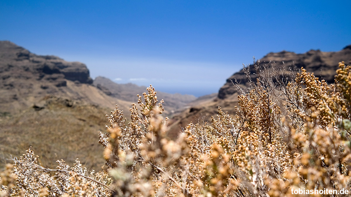 Gran Canaria Tipp