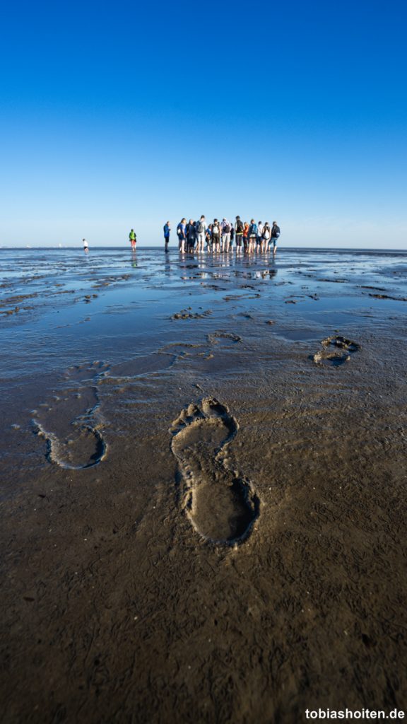 otterndorf-urlaub-an-der-nordsee-wattwanderung-tobias-hoiten-1