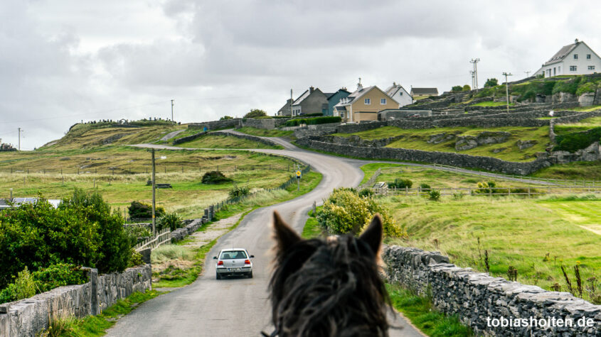 tagseausflug-auf-die-aran-islands-inis-oirr-tobias-hoiten-1