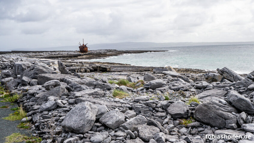 tagseausflug-auf-die-aran-islands-inis-oirr-tobias-hoiten-2