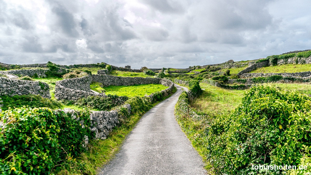 Tagesausflug auf die Aran Islands: Ein Besuch auf Inis Oirr