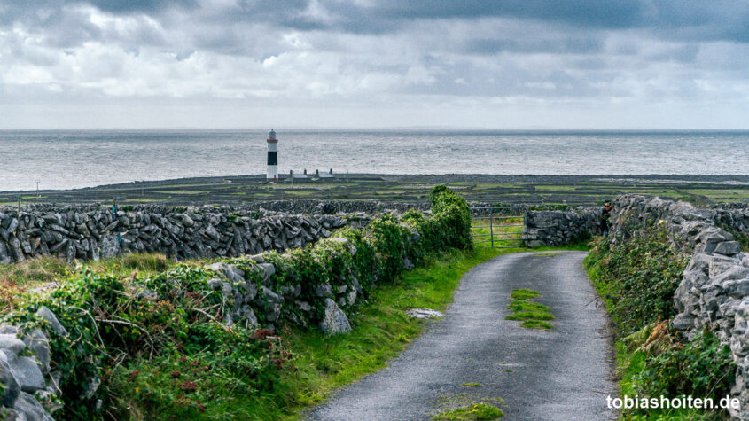 tagseausflug-auf-die-aran-islands-inis-oirr-tobias-hoiten-4