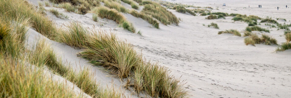 ameland-urlaub-nebensaison-tobias-hoiten-17
