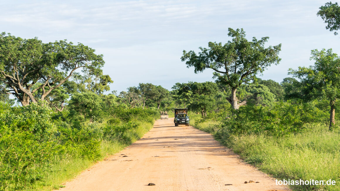 fotografieren-im-kruger-nationalpark-tobias-hoiten-10