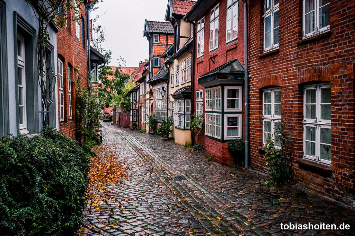 1-tag-in-lueneburg-tobias-hoiten-5